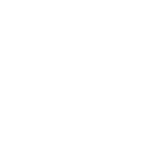 Webby Award Winner 2020 — People's Voice